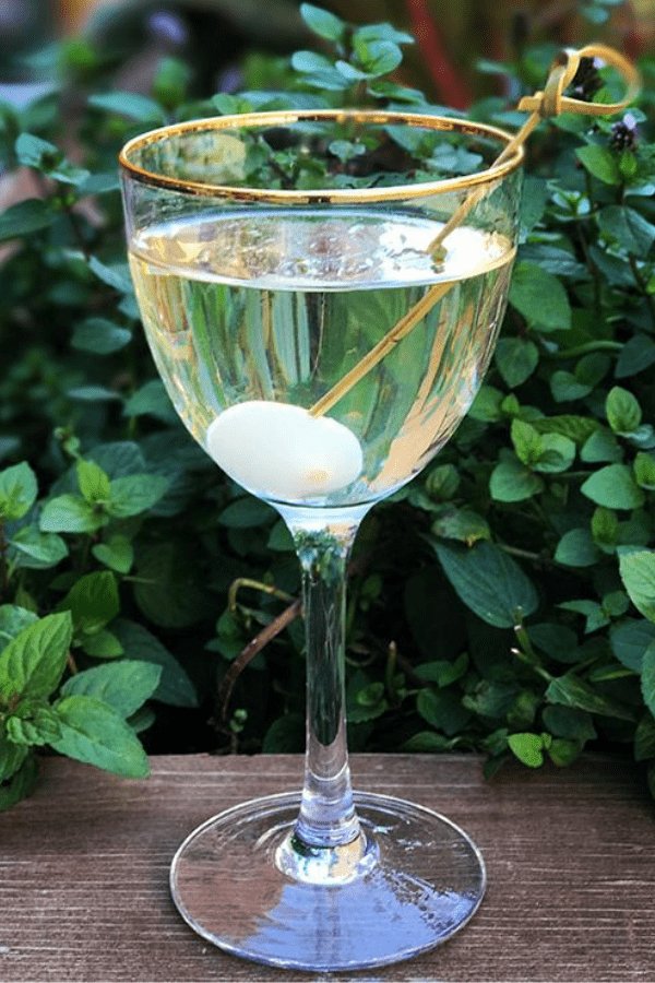 The Perfect Gibson - Durham DistilleryRecipesRecipes