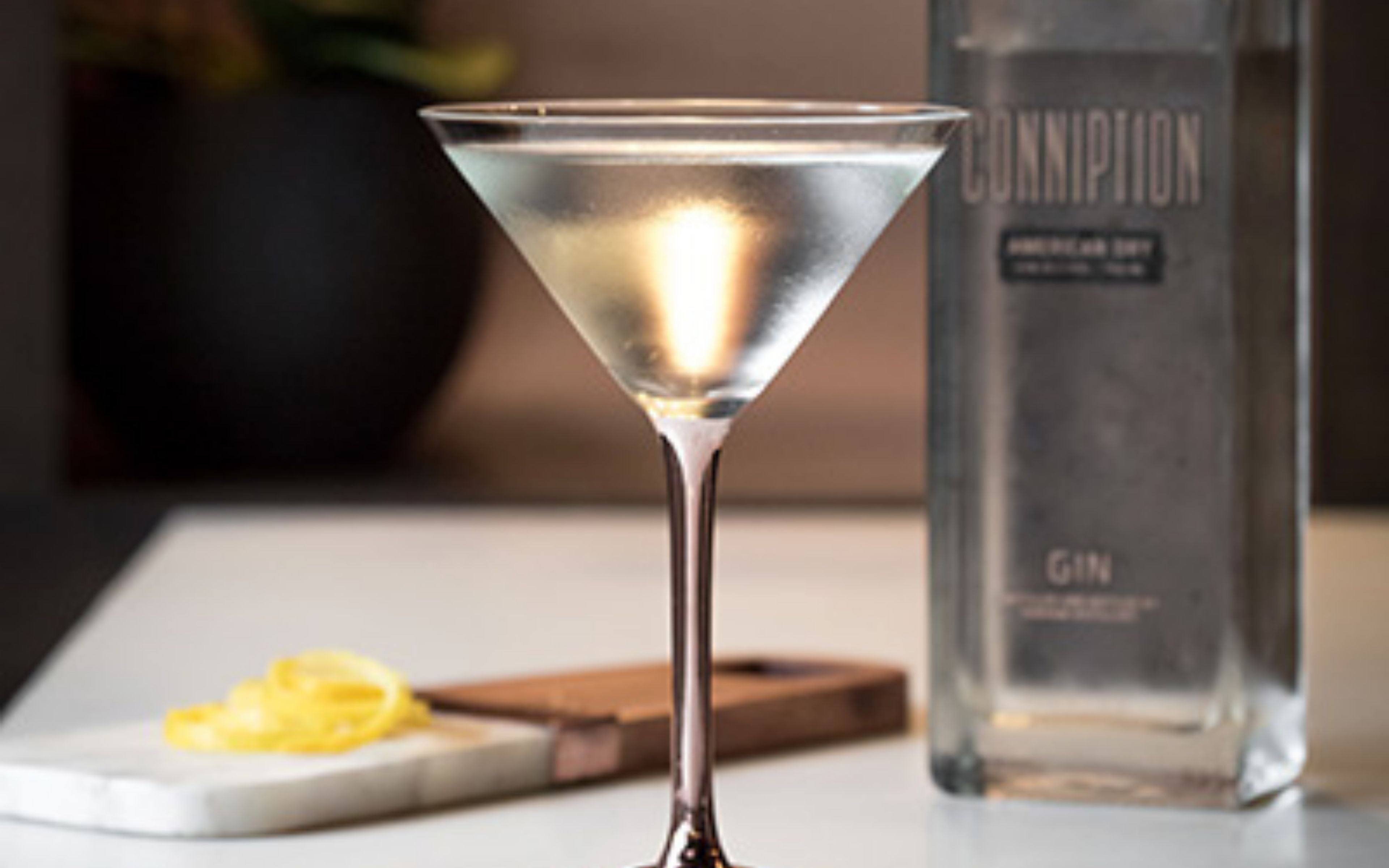 Vesper Cocktail using Conniption Gin.